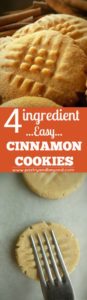 4 ingredient easy cinnamon cookies