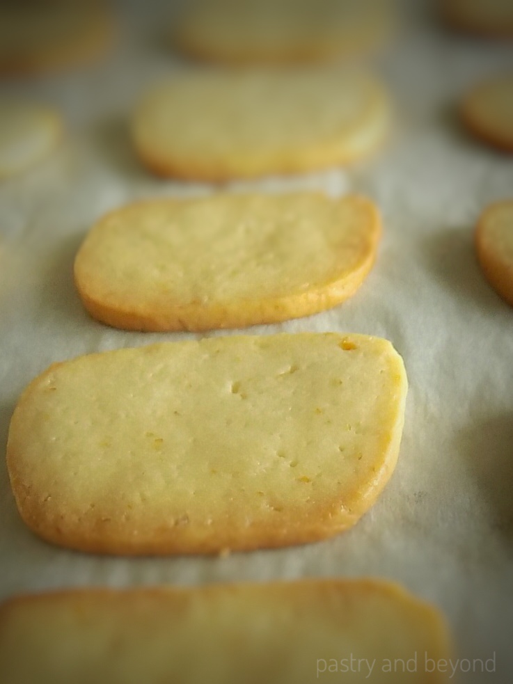 Lemon slice-and-bake cookies on a parchment paper after baking.
