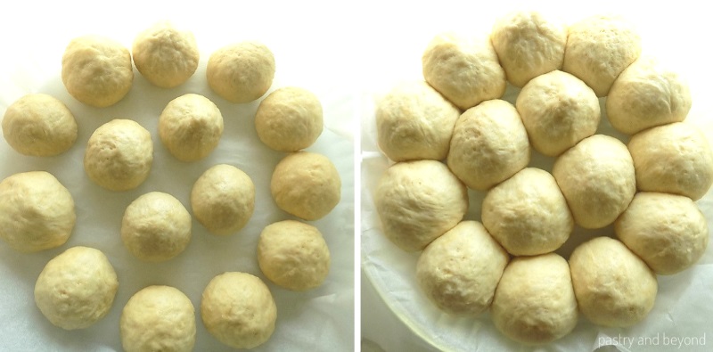 No knead rolls are placed on a dish to prove.