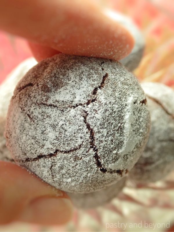 Hand holding flourless crinkle cookies with powdered sugar.