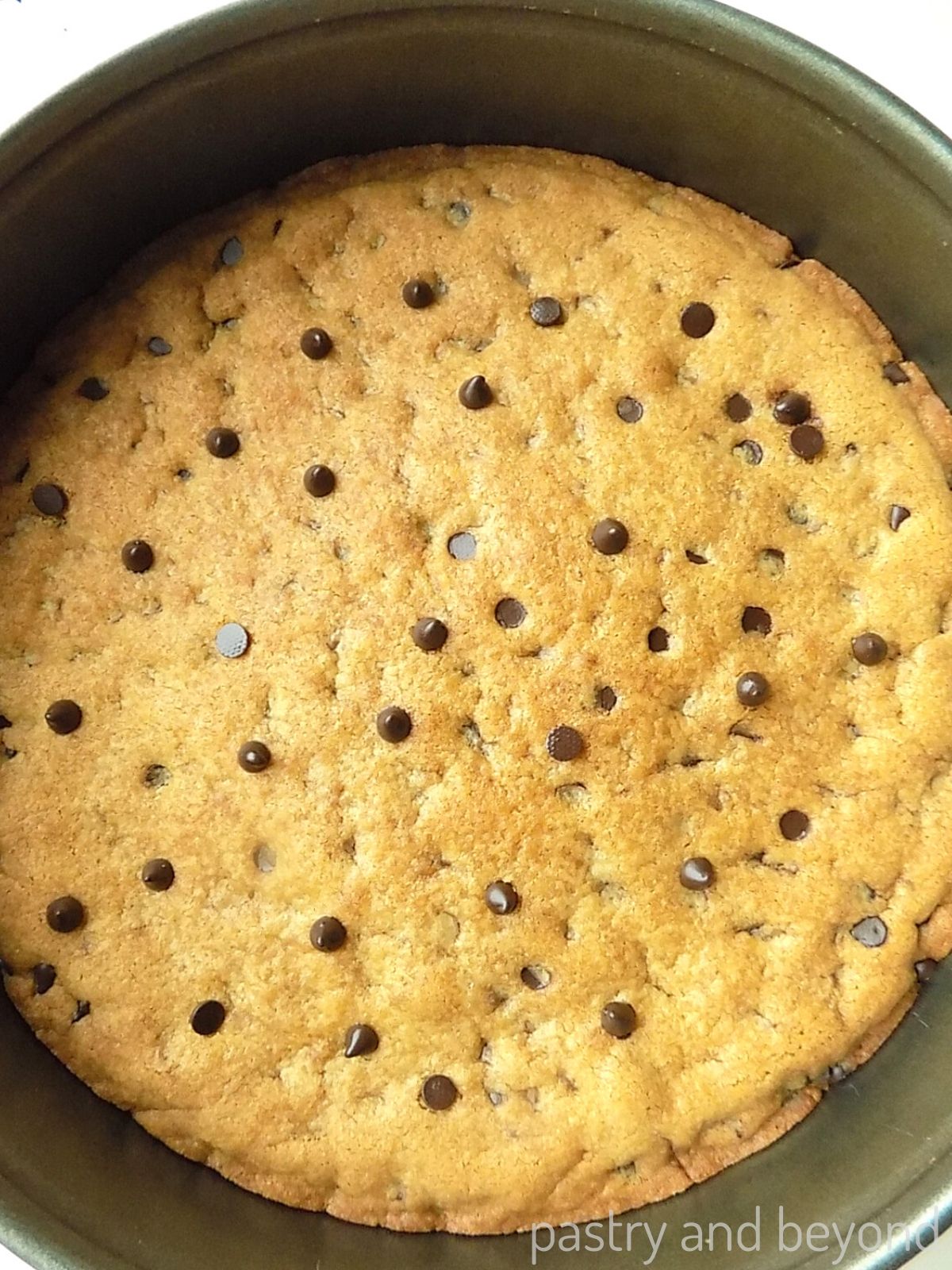 Chocolate chip cookie cake in a pan with additional chocolate chip added on top.