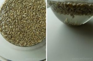 Removing salt from sunflower seeds by placing them into a bowl that is full of water.