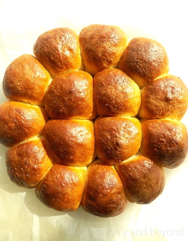 Baked no-knead soft dinner rolls as a whole circle.