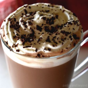 Hot Chocolate with whipped cream and grated chocolate on top.