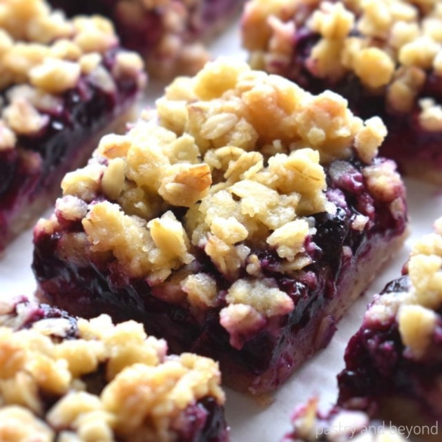Blueberry Oatmeal Bars - Pastry & Beyond