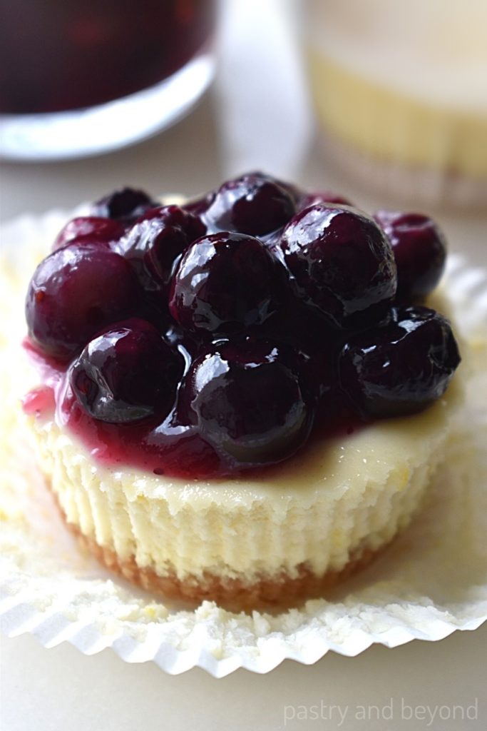 Blueberry mini cheesecake on a muffin paper.