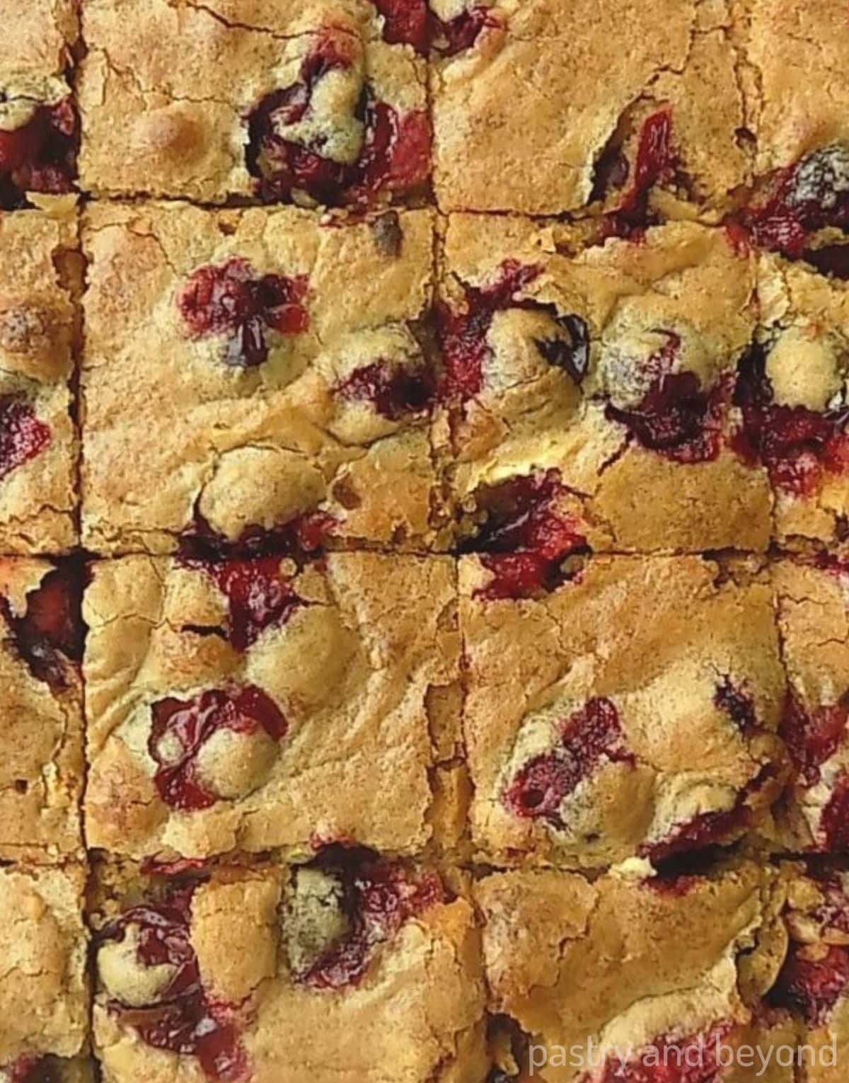 Overhead view of blondies with cranberry and white chocolate that is cut into pieces. 