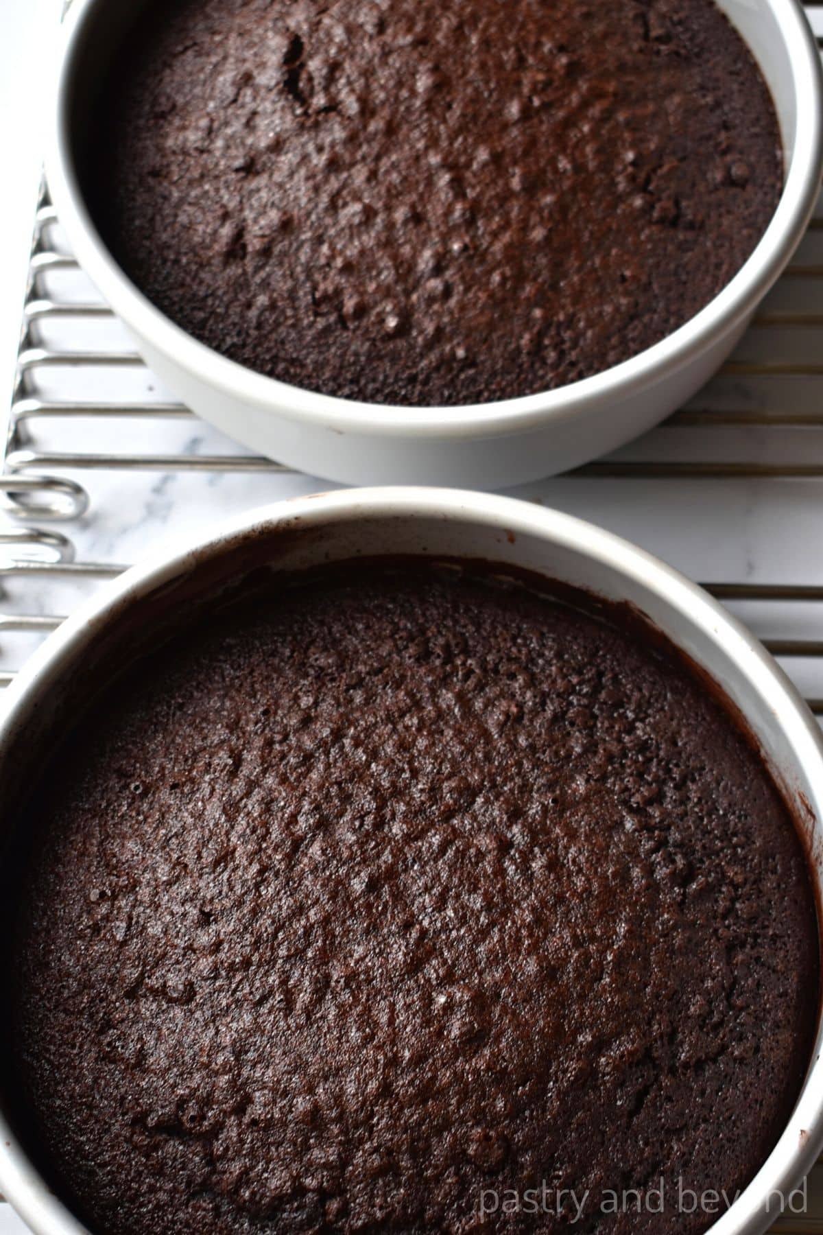 Baked cakes in their pans.